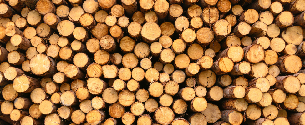 EUTR Euroopa Liidu puidumäärus