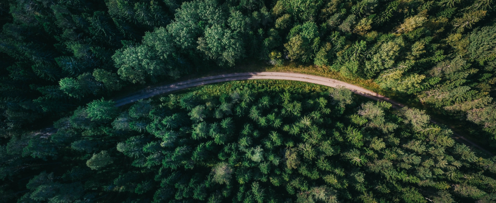 BM Certification, alati üks samm ees!