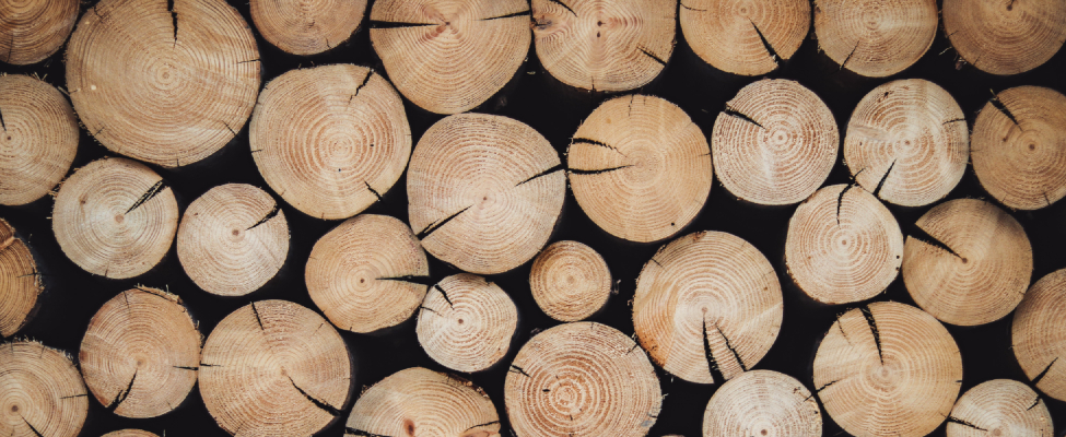 BM Certification avalikud teatised