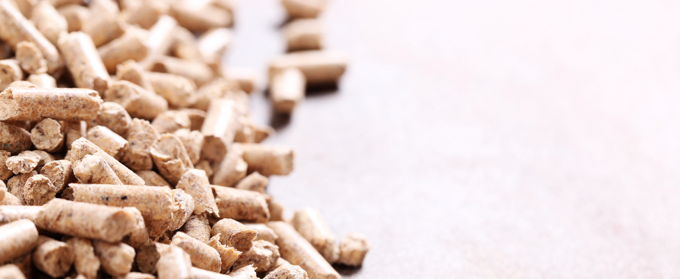 Säästva biomassi programm (SBP)