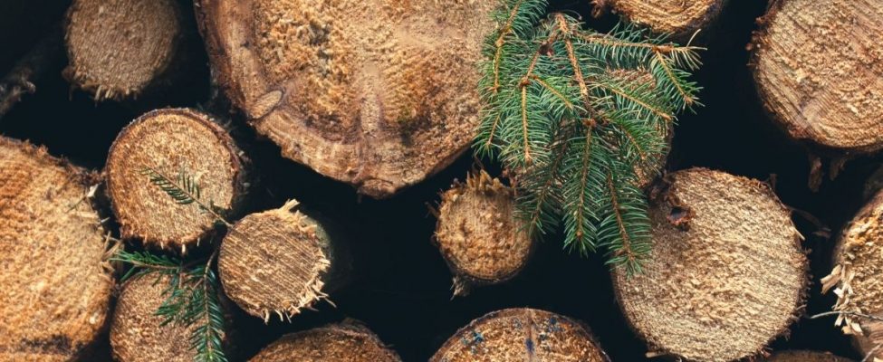 Venemaalt ja Valgevenest pärit puitu peetakse „konfliktpuiduks“