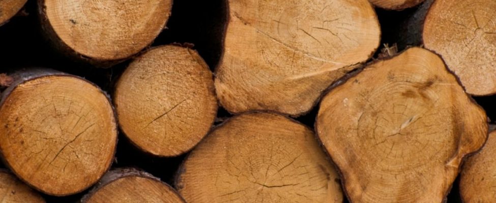 Euroopa Komisjon keelab Valgevene puidu impordi Euroopa Liitu