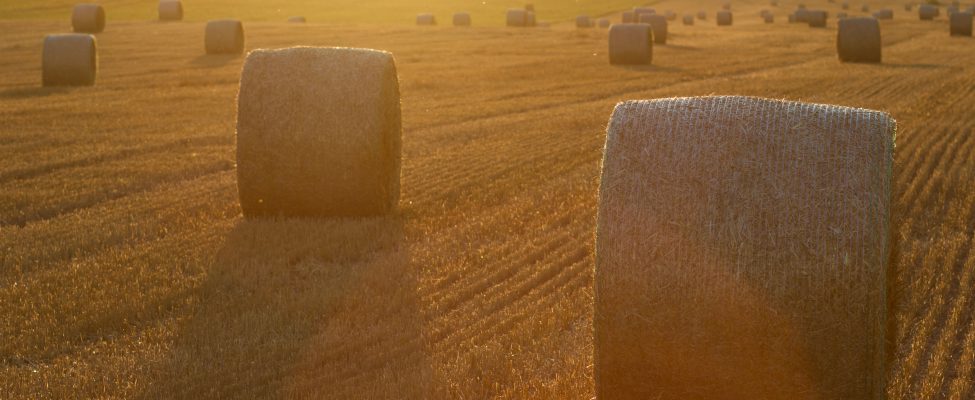 SURE Verification scheme