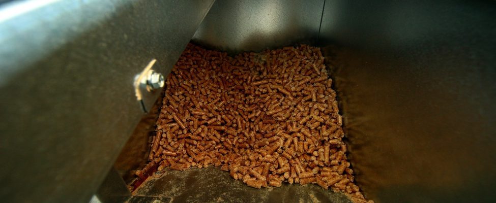 SBP saab REDII alusel ametliku tunnustamise vabatahtliku skeemina