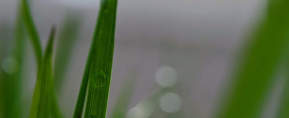 Toote süsiniku jalajälje kontrollimine (ISO 14067, PAS 2050)