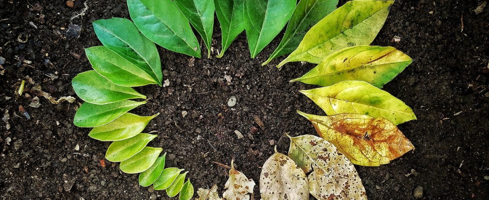 Olelusringi hindamise (Life Cycle Assessment-LCA) peamised eelised tänapäeva ärikeskkonnas