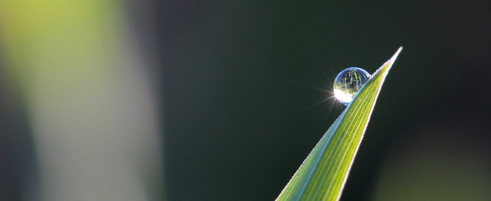 Rahvusvaheliste standardite tähtsus