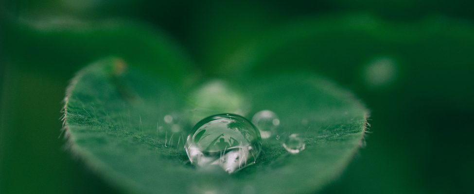 EL taksonoomia, SFDR ja Euroopa roheliste võlakirjade verifitseerimine